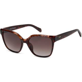 Fossil FOS 3170/G/S 086/HA 55 Solbriller Kvinder Tortoiseshell - Dark Tortoise - 55mm