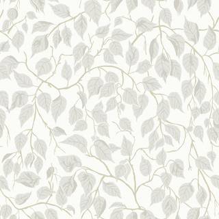 Hängbjörk - Greige