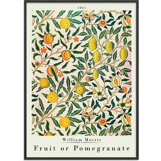 Fruit or pomegranate, W. M. - 70x100 cm