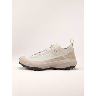 Arc'teryx Vertex Alpine GTX Approachsko Herrer størrelse 9 farve lilla