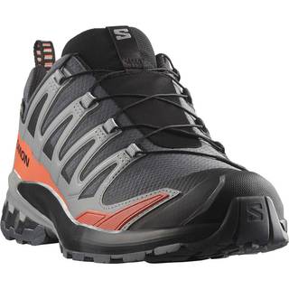 Salomon XA Pro 3D V9 GTX Multisportsko Herrer størrelse 13,5 farve grå