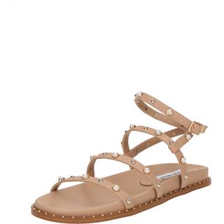 Steve Maddentil kvinder. SM11003775 Brune Stormie-sandaler (38), Fast, Spænder, Casual