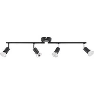 Brilliant - Prato 4 - Spotlight