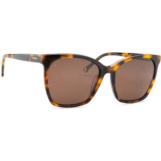 Lentiamo Petra Havana Brown