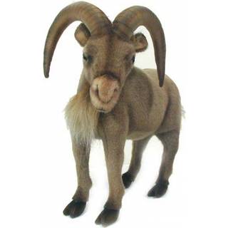 Ged Mountain 16 """" L ''