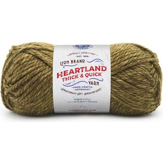(1 Skein) Lion Brand Yarn Heartland tyk og hurtig volumin?s garn Joshua Tree
