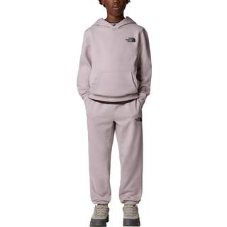 The North Face The North Face Grey Teen Simple Dome Hoodie
