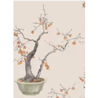 Kaki Persimmon - Violet Patina