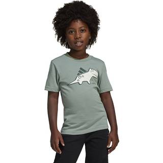 Adiraptor Graphic T-Shirt Kids - Silver Green - 122