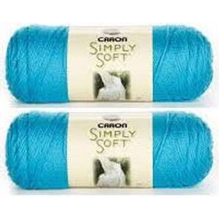Bulk Buy: Caron Simply Soft Garn Solid (2-Pack) (Blue Mint)