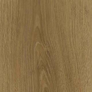 HARO Disano LifeAqua XL - Eg Sheffield natur