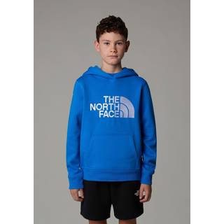 The North Face The North Face Blue Boys Teen Drew Peak Pullover Hoodie
