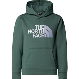 The North Face Drew Peak Hættetrøje Børn