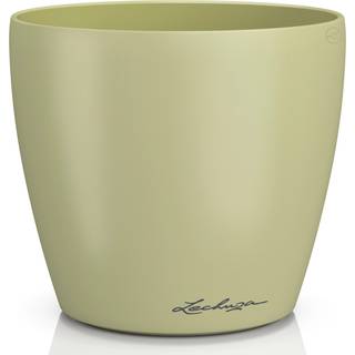 Classico Color Deco - Lind 14 cm