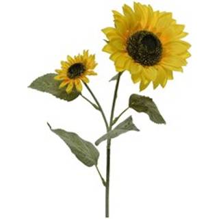 Dekorative Blomster Everlands 10 x 15 x 72 cm