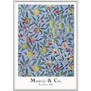 Four Fruits - 50x70 cm