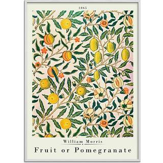 Fruit or pomegranate, W. M. - 70x100 cm
