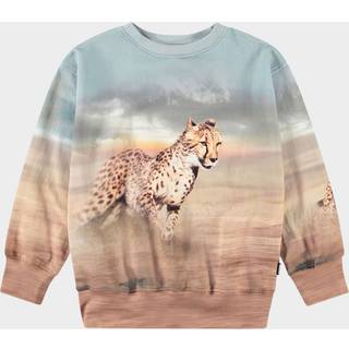 Molo Mattis Sweatshirt Running Cheetahs 110 cm  Brun  110 cm  mand