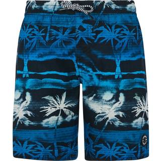 Protest Kid's PRTSteven Boardshorts Børn størrelse 104 farve blå