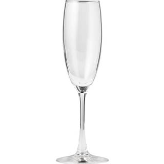 Salling champagneglas 4-pak (På lager i varehus)