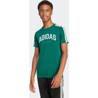 adidas Codes Collegiate Graphic T-shirt Børn