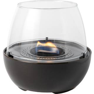 Tenderflame Tulip 18 Reactive sort