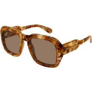 Chloé Kvinde CH0310S 005 Solbriller Acetat Havana Brun Firkantet