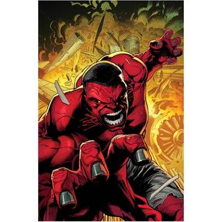 Red Hulk Vol. 1