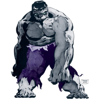 Jeph Loeb & Tim Sale: Hulk