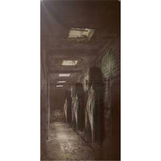 Creepy long hall dørdekoration