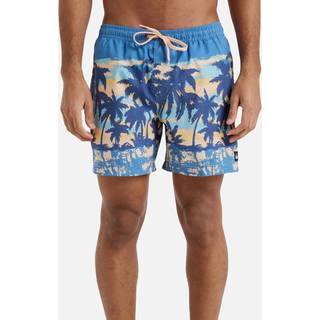 Quiksilver Everyday Straight Volley 15 Boardshorts Herrer størrelse XXL farve blå