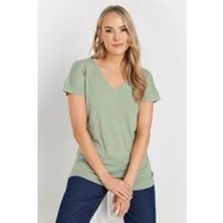 Lts Premium Tall Sage Green Vneck Modal Tshirts Size 14