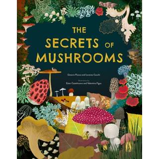 The Secrets of Mushrooms