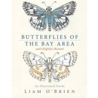 Butterflies of the Bay Area and (Slightly) Beyond