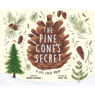The Pine Cone's Secret