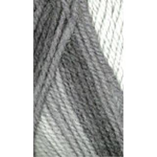 Plymouth Yarn (5-Pack) Encore Worsted Colourspun Yarn Gr? ombre 7656-5p