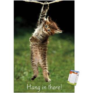 Trends International Famous Kitten Hang In There Plakat Wall Poster 14.72 """" X 22.37 """" Premium Poster & Mount Bundle