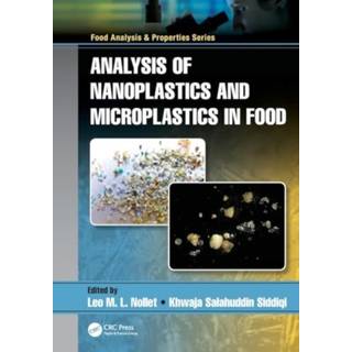 Analysis of Nanoplastics and Microplastics in Food