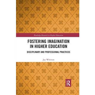 Fostering Imagination in Higher Education