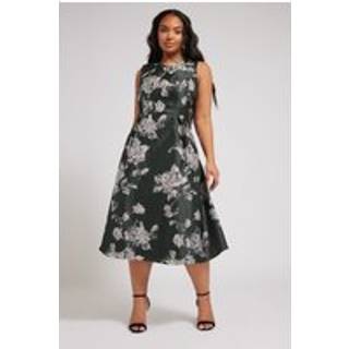 Yours Curve Yours Curve Black London Jacquard Floral Notch Neck Dress