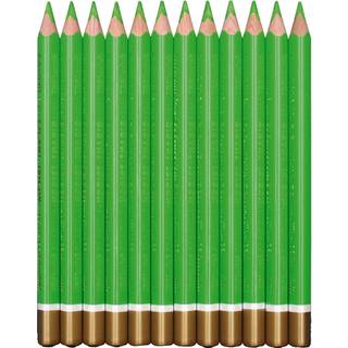 Farveblyanter - 12 stk. lysegrøn