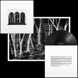 These New Puritans - Crooked Wing