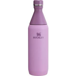 Stanley All Day Slim Flaske 20 oz - Lækagesikkert skruelåg, isoleret rustfrit stål, BPA-fri, lilla, ultraslank rejse- og træningsflaske