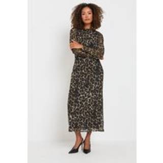 M & Co M & Co Natural Leopard Print Mesh Midi Dress