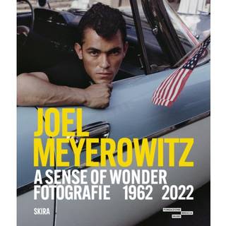 Joel Meyerowitz: A Sense of Wonder (Bilingual edition)