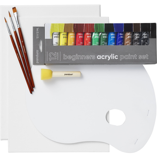 Beginners Acrylic Paint Kit, alt til nybegynderen, som vil begynde at male med akrylfarve