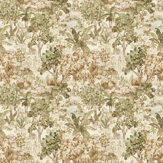 The Stumpery Lichen - DHIP217490