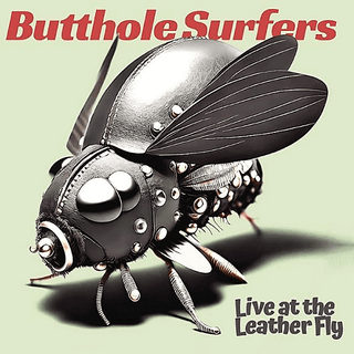 Butthole Surfers - Live At The Leather Fly (Opaque Pink Vinyl)