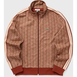 Sweatshirt LACOSTE Jacquard Sweatshirt Iberis/ Latte L - Latte - L