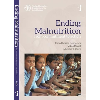 Ending Malnutrition – From Commitment to Action